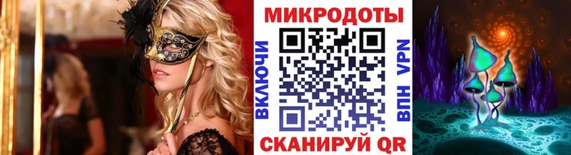Псилоцибиновые грибы Cubensis  Холм 